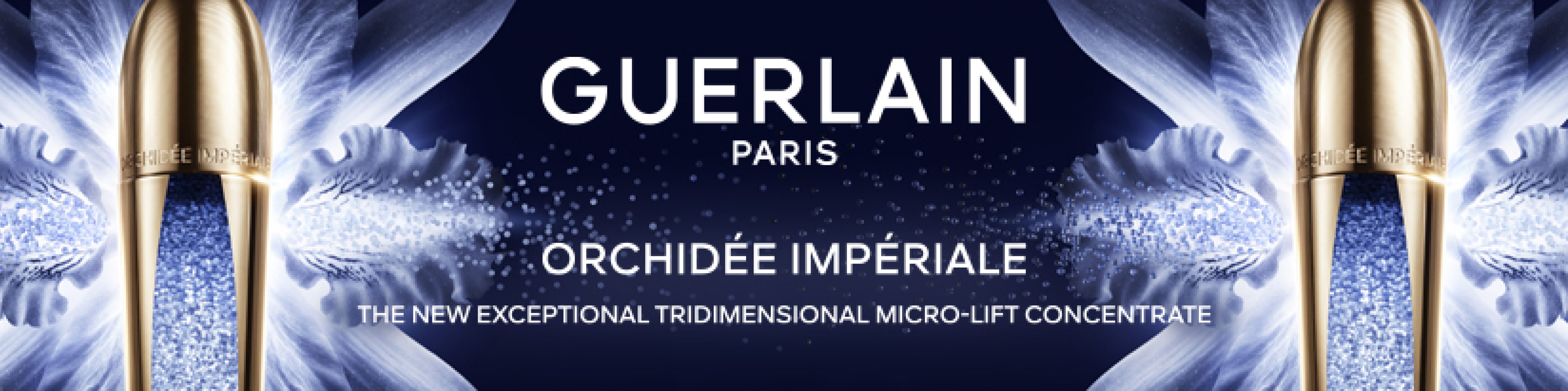 Orchidée Impériale Orchidée Impériale