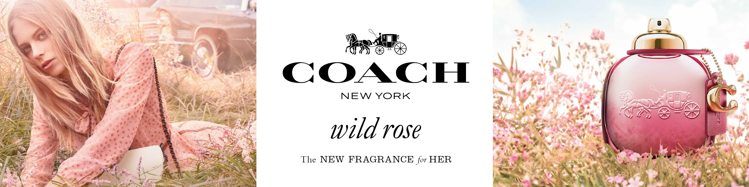 Coach Coach