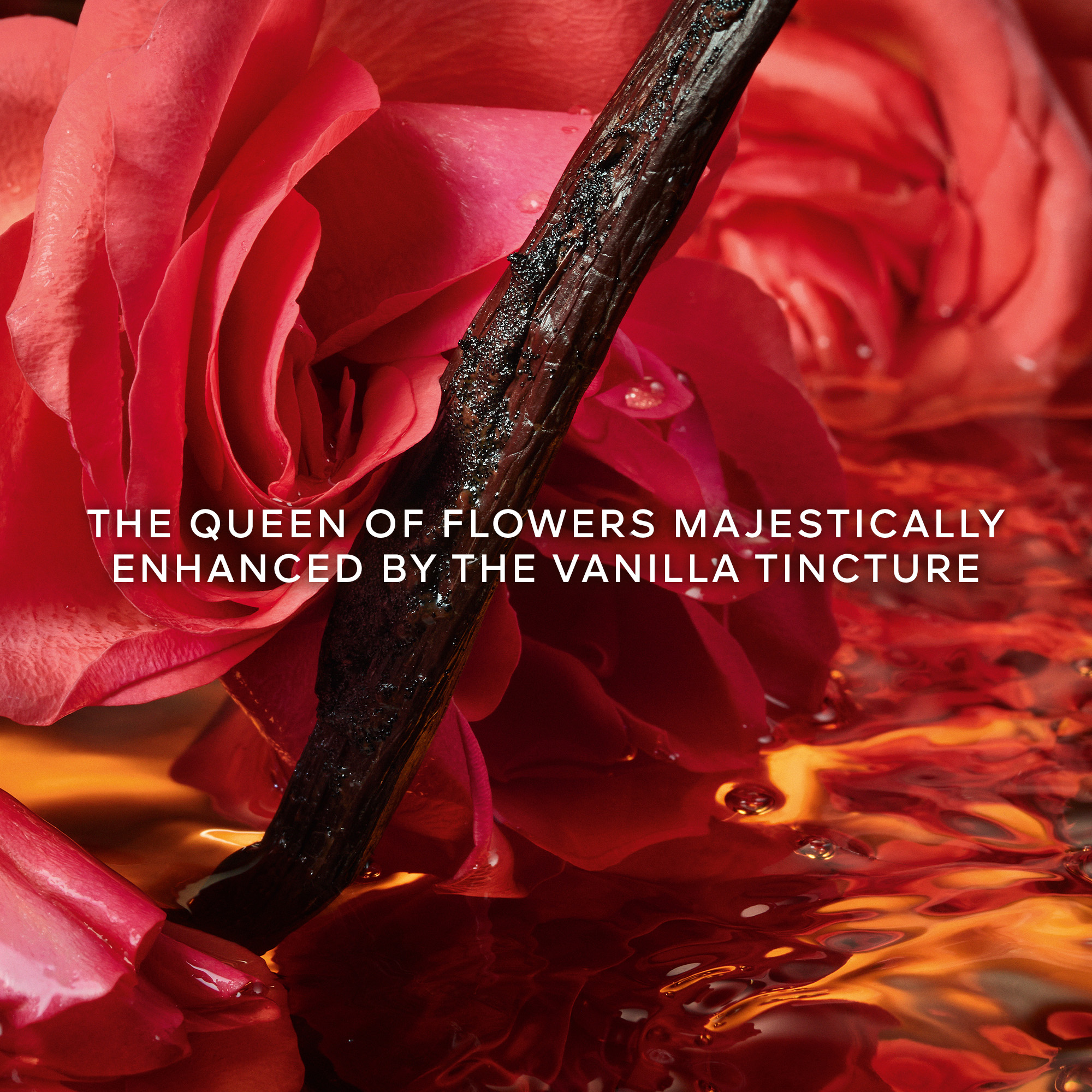 Guerlain Shalimar Millésime Rose Parfum | Parfumerie.nl