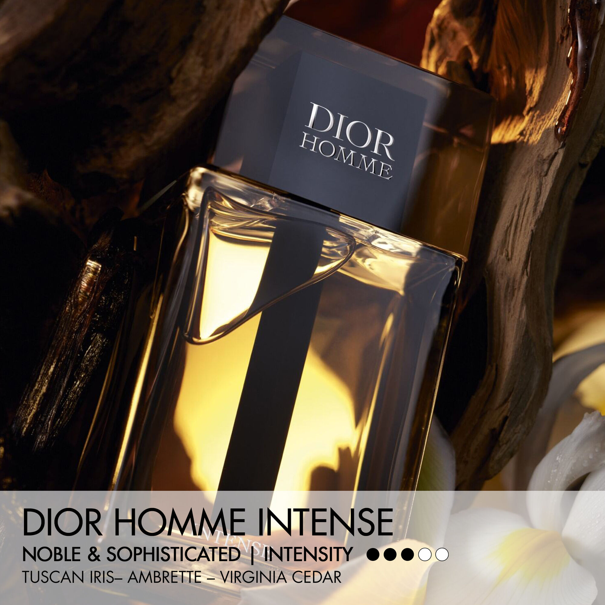 Dior Homme Intense Eau De Parfum Kopen | Parfumerie.nl