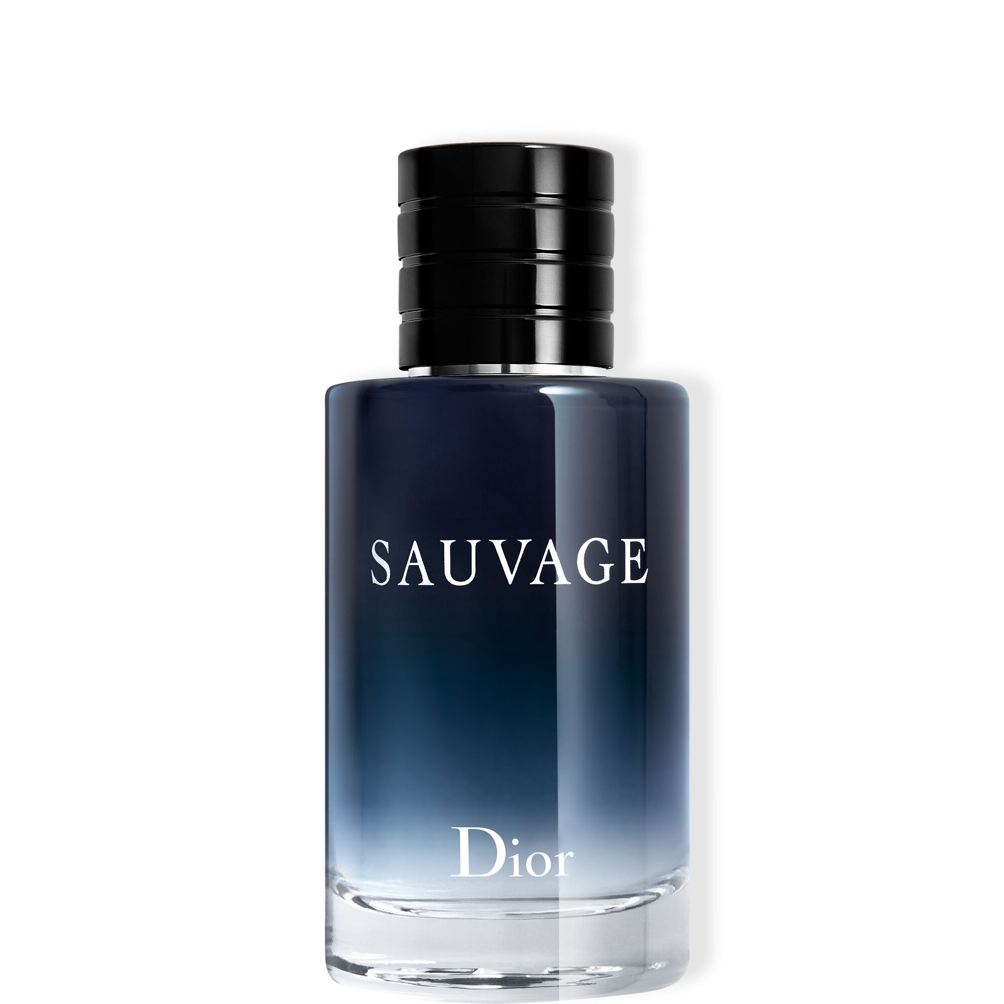 Sauvage 100 ml eau de toilette van DIOR | Parfumerie.nl
