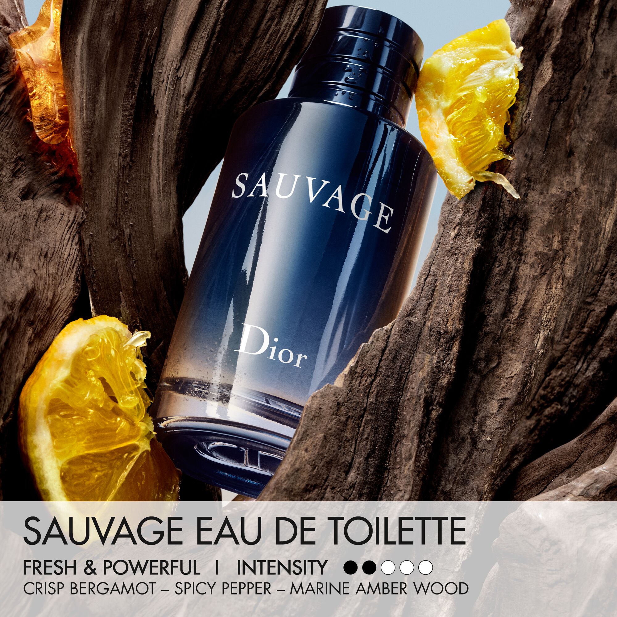Sauvage 100 ml eau de toilette van DIOR | Parfumerie.nl