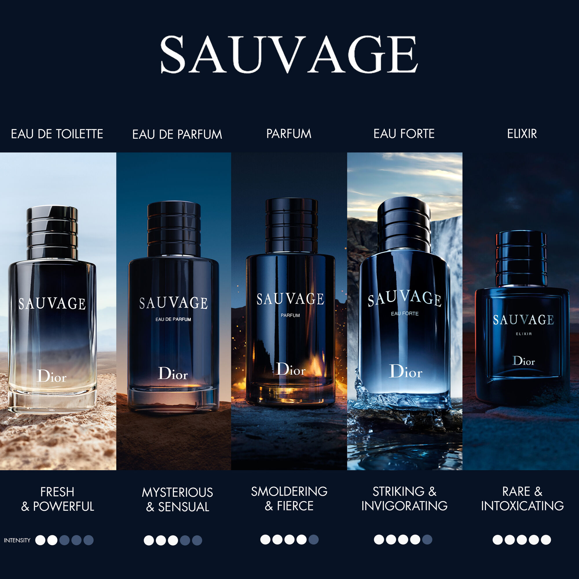 Sauvage 60 ml eau de toilette van DIOR | Parfumerie.nl