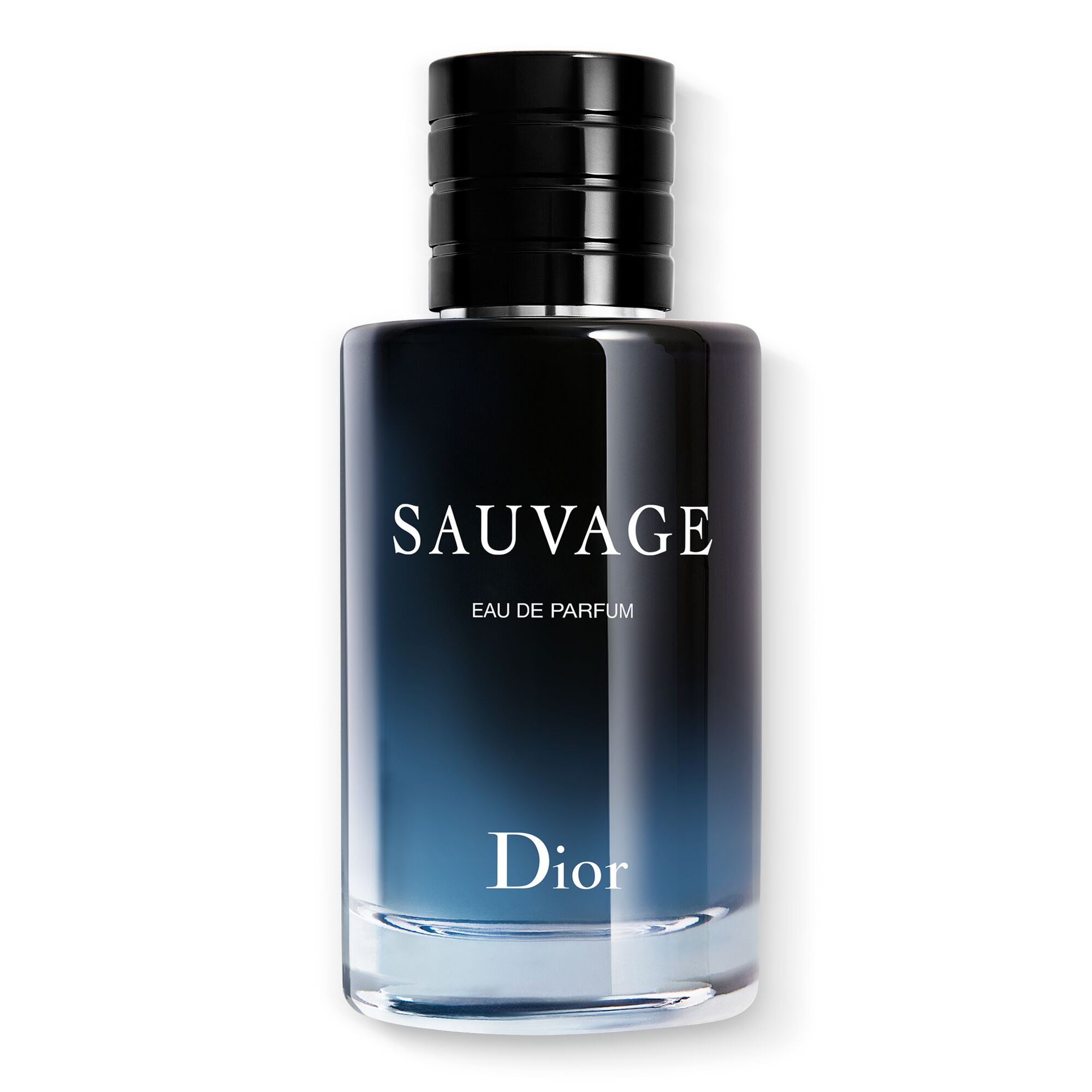 Geurloos Moskee sympathie DIOR Sauvage Eau De Parfum Kopen | Parfumerie.nl