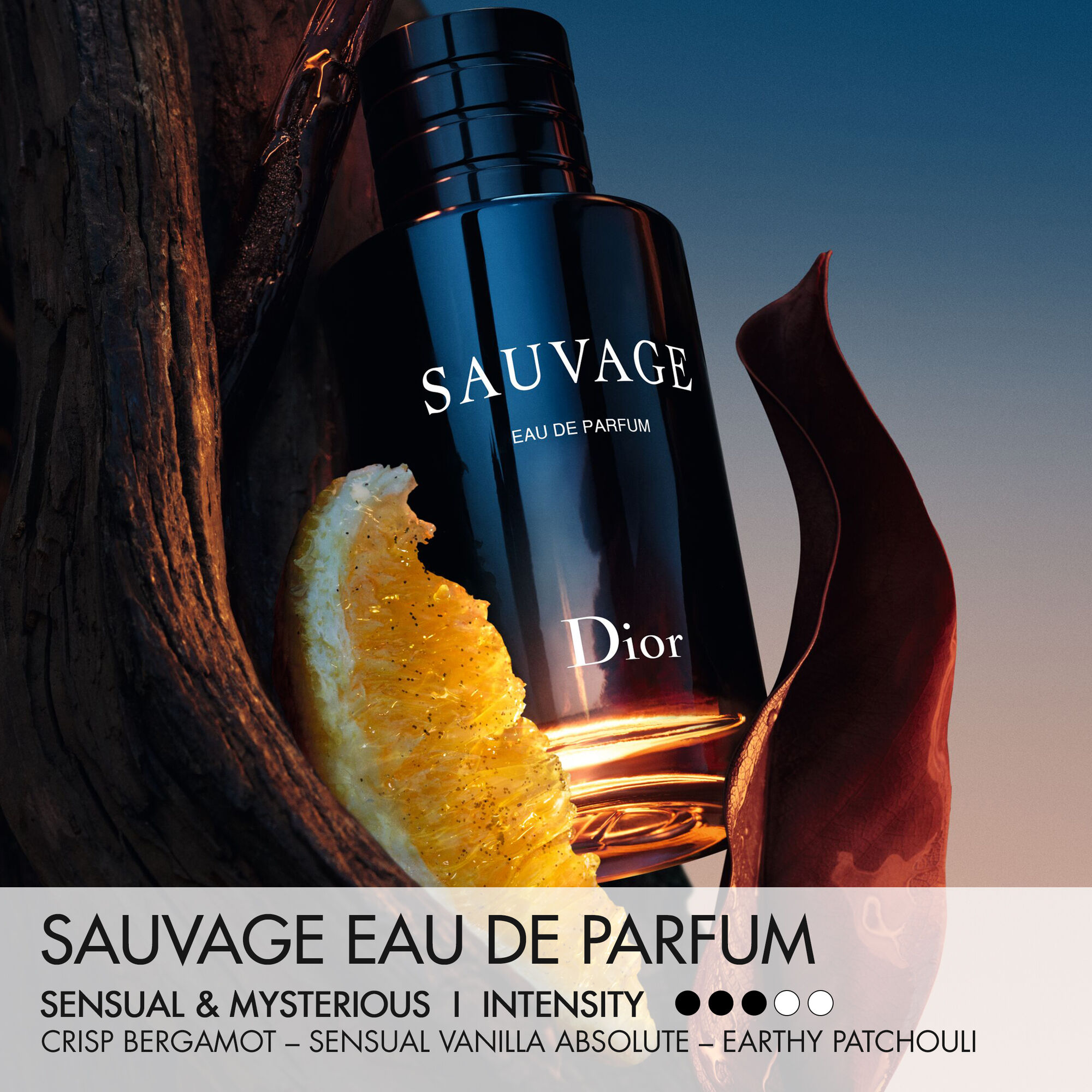 Dior Sauvage Eau De Parfum Kopen | Parfumerie.nl