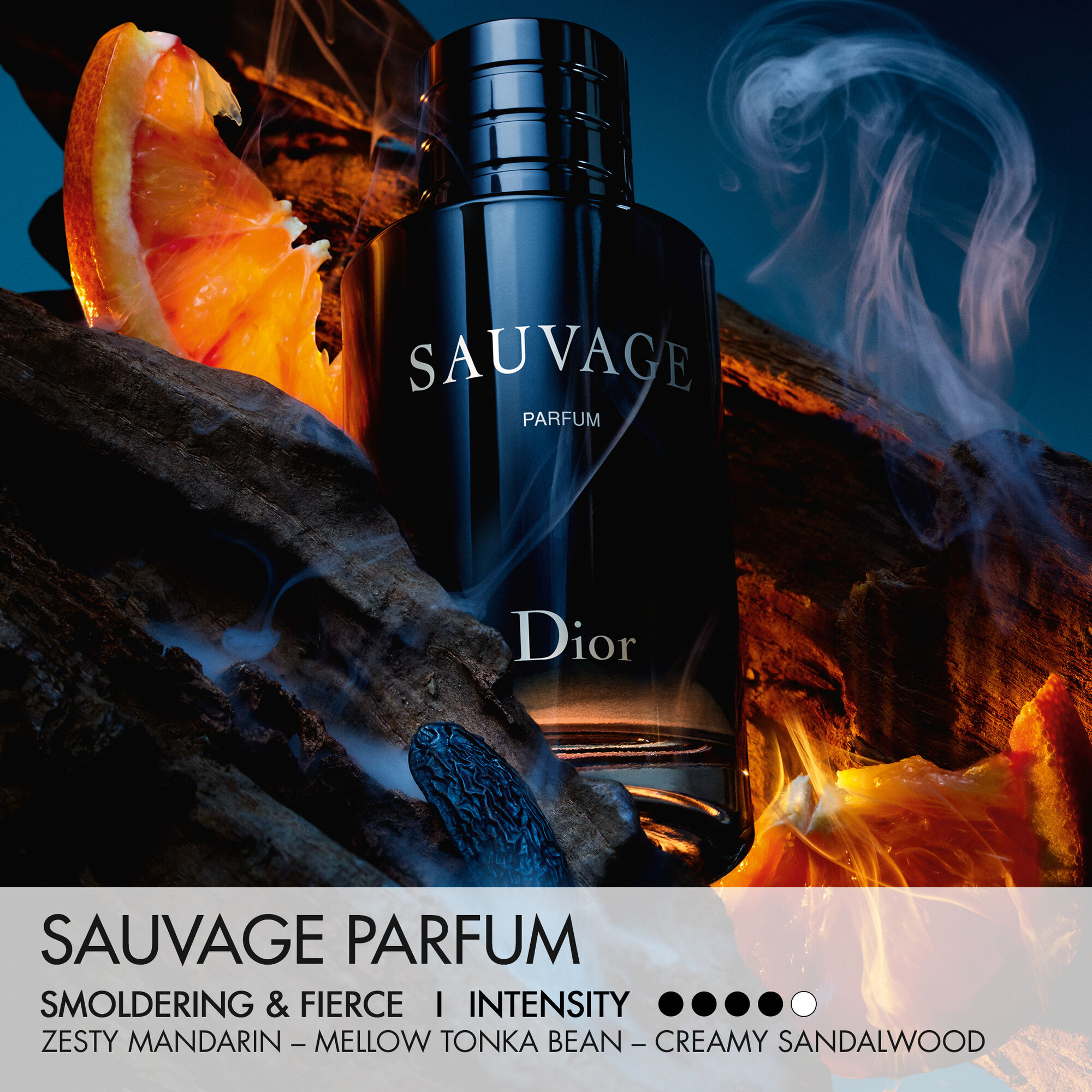 ⚠️しょうへいSAUVAGE eau de parfum 100ml 香水 Sauvage 100 ml parfum van DIOR | Parfumerie.nl