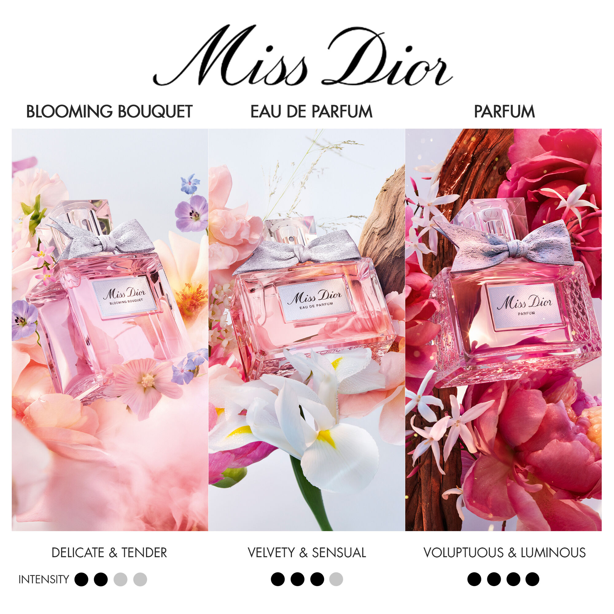Dior Miss Dior Parfum Kopen | Parfumerie.nl