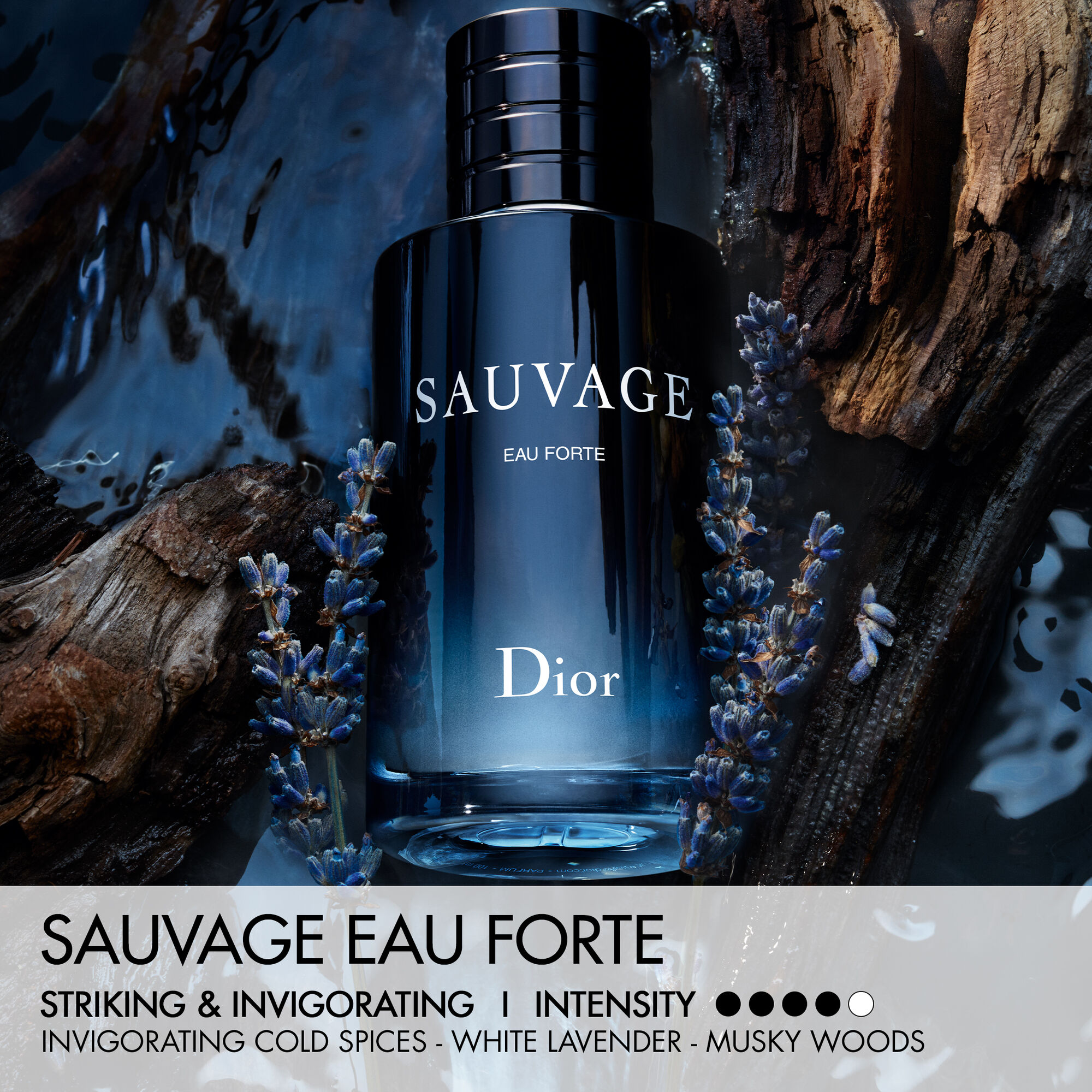 Dior Sauvage Eau Forte Parfum Kopen | Parfumerie.nl