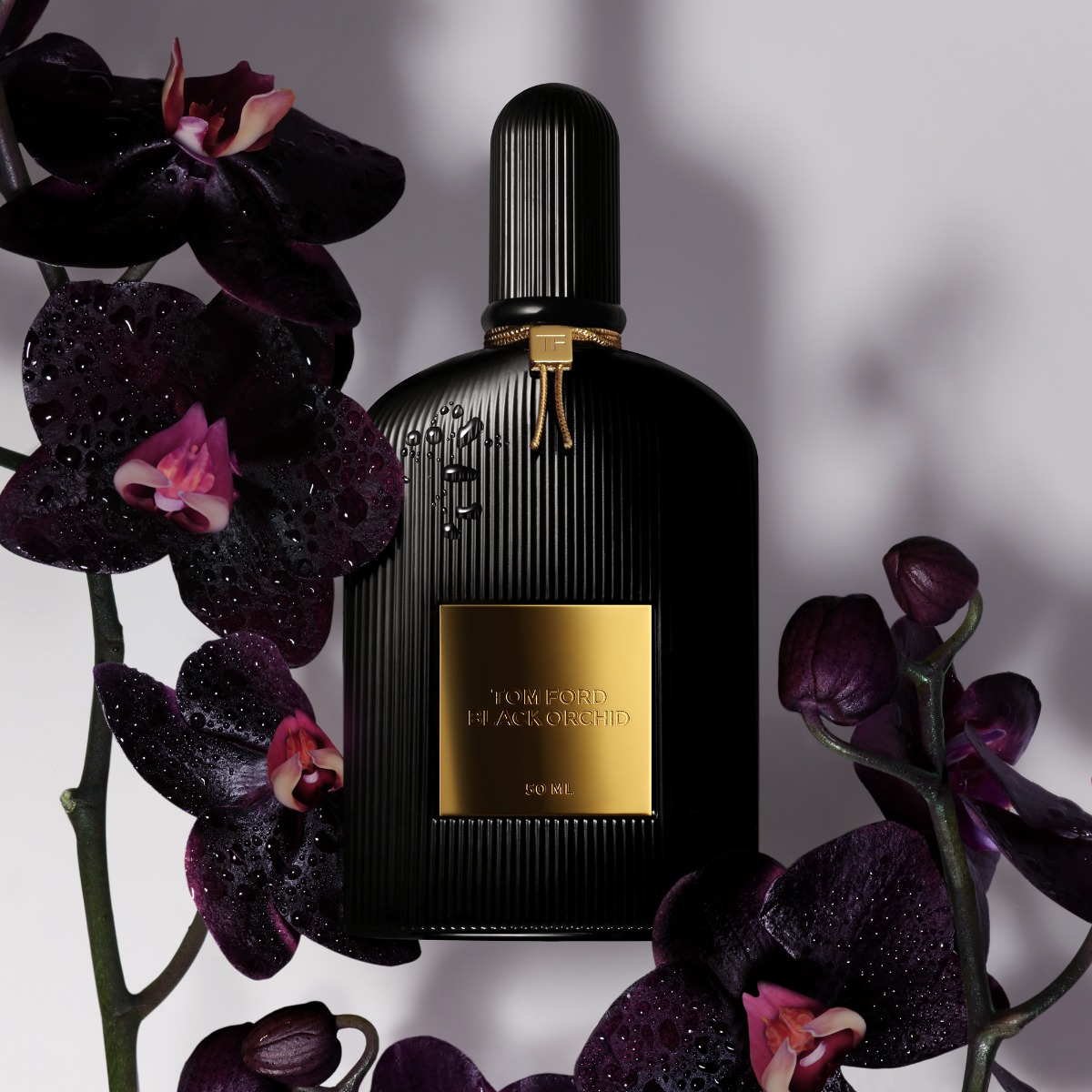Black Orchid 50 ml eau de parfum van Tom Ford | Parfumerie.nl