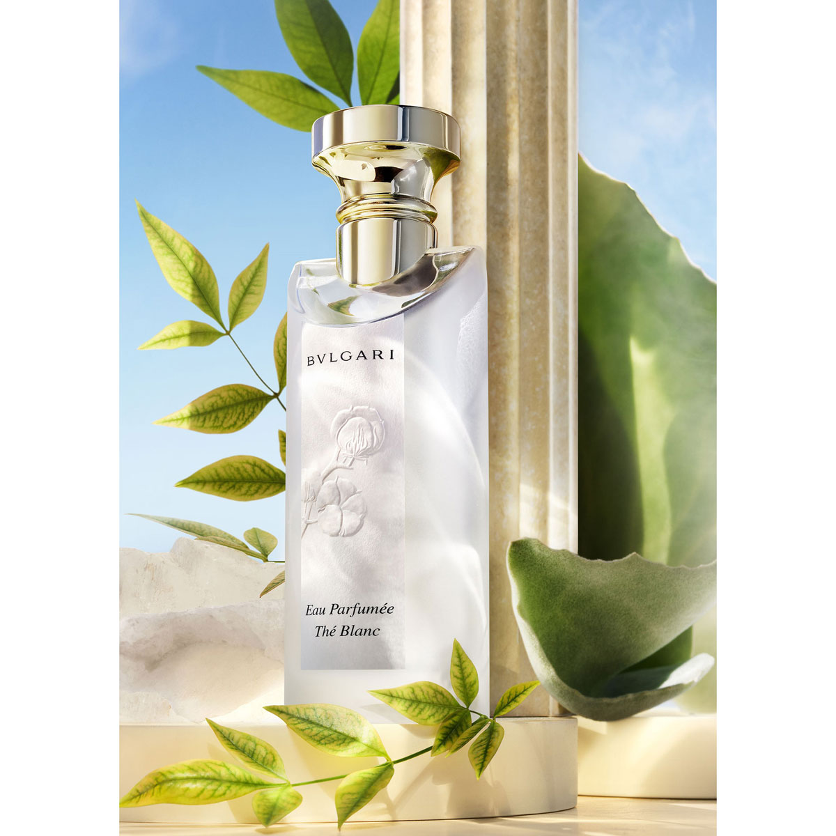 Bvlgari Eau Parfumeé Thé Blanc Kopen | Parfumerie.nl