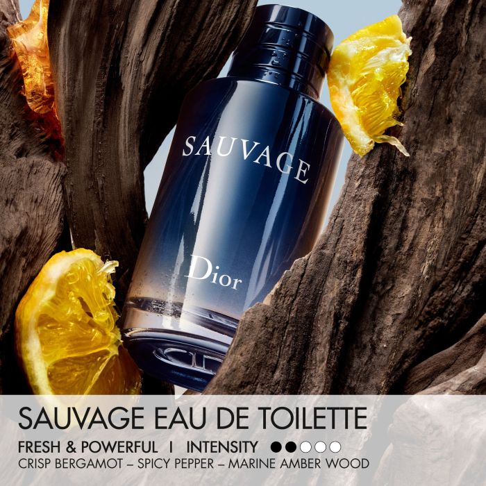 Sauvage 100 ml eau de toilette van DIOR | Parfumerie.nl