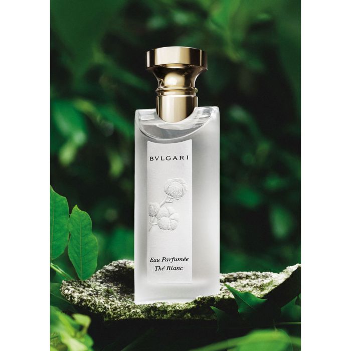Bvlgari Eau Parfumeé Thé Blanc Kopen | Parfumerie.nl