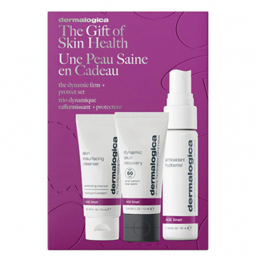 Dermalogica Dynamic Travel Kit