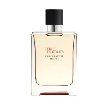 Hermès Terre d'Hermès Intense 100 ml Eau de Parfum Spray