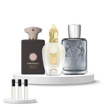 Discovery Box (Xerjoff Renaissance, Parfums de Marly Castley, Amouage Opus XV King Blue)