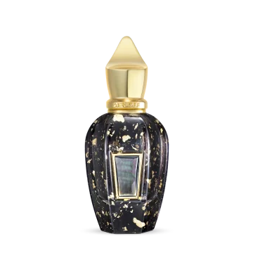 Xerjoff XJ17-17 Homme Anniversary Parfum