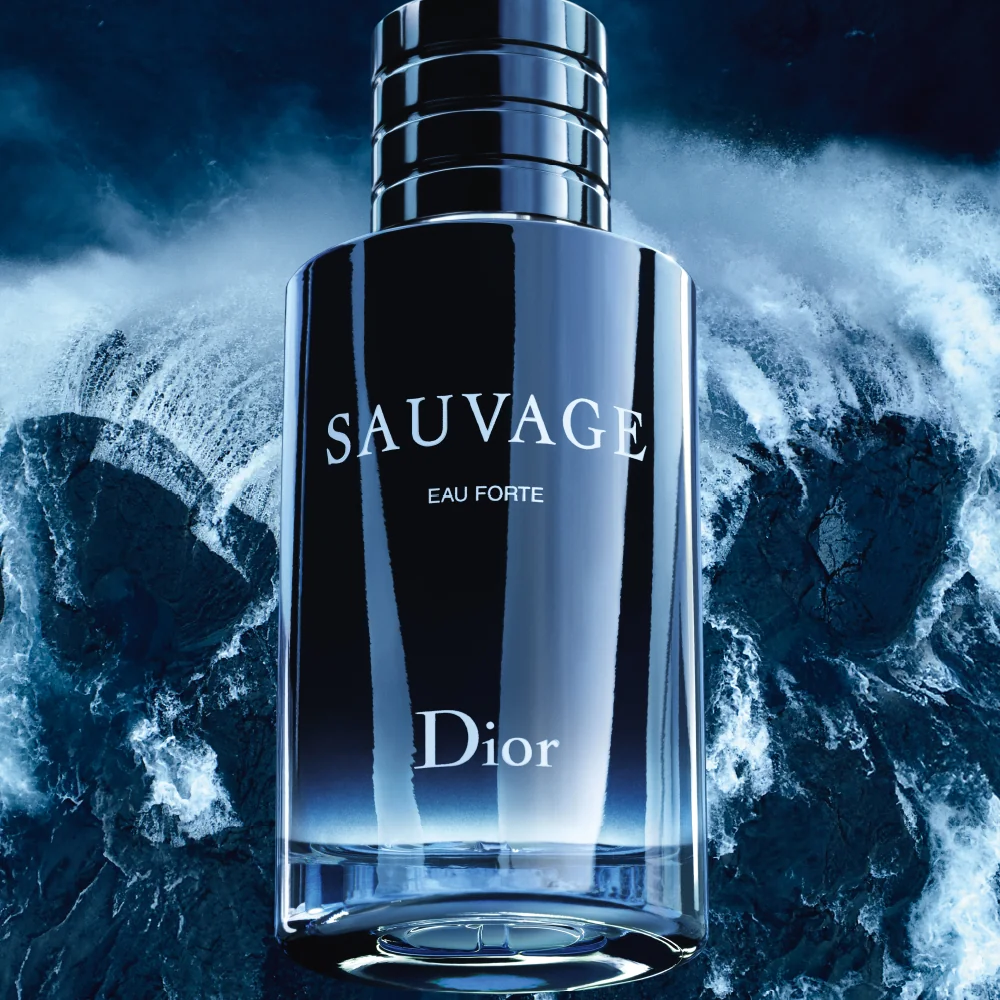 sauvageauforte
