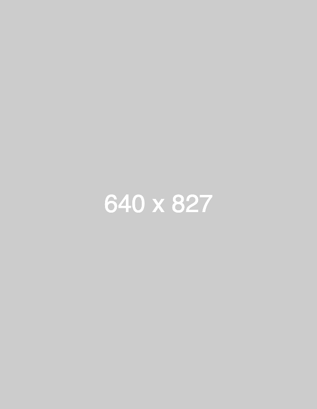 dummy_640x827_ffffff_cccccc