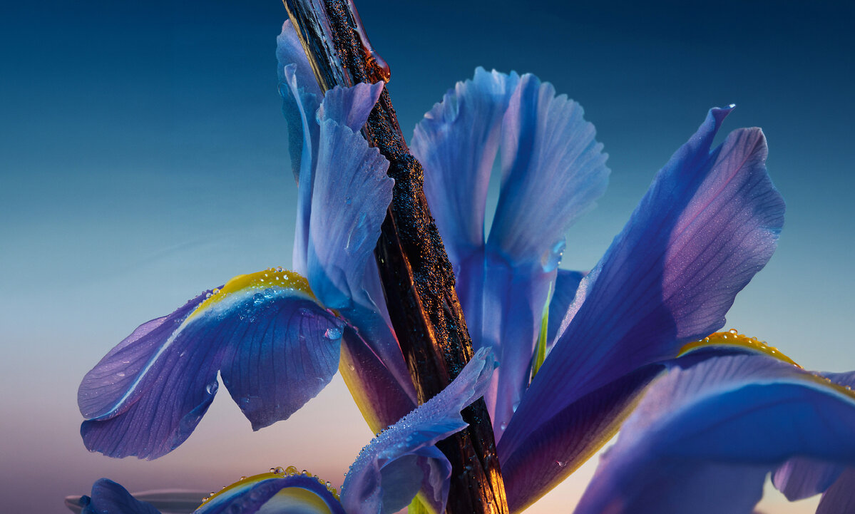 558076_PARFUMERIE_Banner_3_Mobile_1617x972px