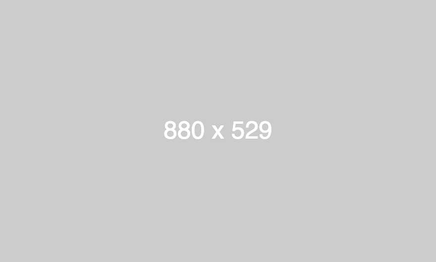 dummy_880x529_ffffff_cccccc