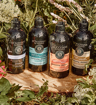 Shop L'occitane Haarverzorging